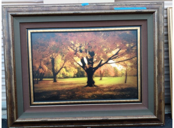 Large Painting (55x44) Under The Tree