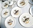 Lot Of Limoges And Figgjo Flint Fish Plates