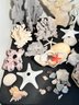 Lot Of Sea Minerals/Shells/Coral