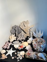 Lot Of Sea Minerals/Shells/Coral