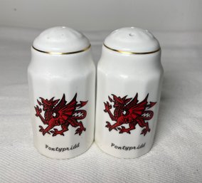 Welsh Dragon Y Doraig Pottery Salt Pepper Wales