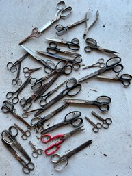 Collection Of Scissors