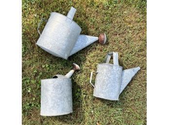 3 Galvanized Metal Watering Cans