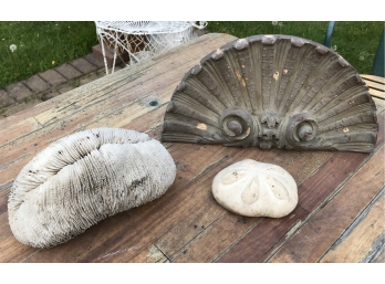 3 Pieces Inc. Coral, Urchin & Vintage Scroll Decoration