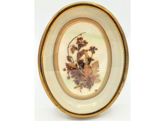 Romantic Antique Dried Flower Art ~ Small Oval Gold Leaf Deep Shadowbox Frame Has Provenance 6' Glass Intact