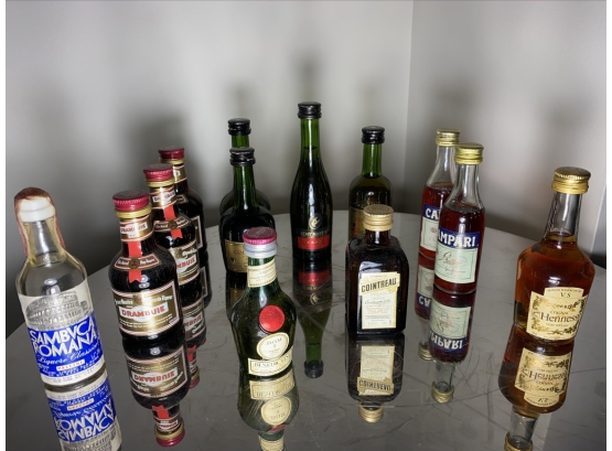 Assorted Selection Of Airplane Or Mini Bottles Of Liquor / Spirits #2