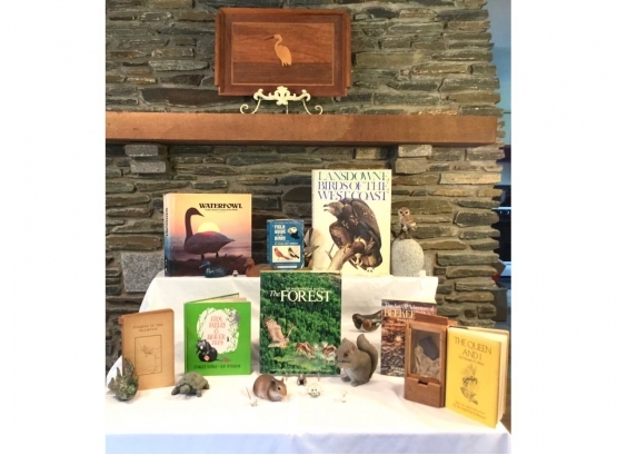 Wonderful Group Of Wild Life Books & Adorable Tabletop Critters