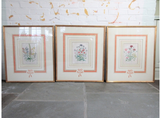 Three Beautifully Framed Original 1840's Hand Colored Botanicals, Jane Webb Loudon