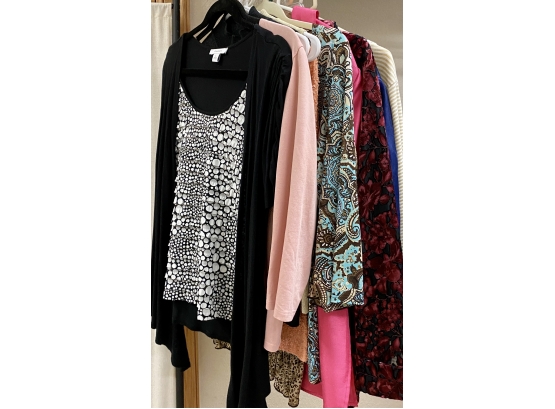 Large Lot Of Women's Blouses (Mostly Size L) Incl. Dress Barn, Coldwater Creek, Chicos, And More!