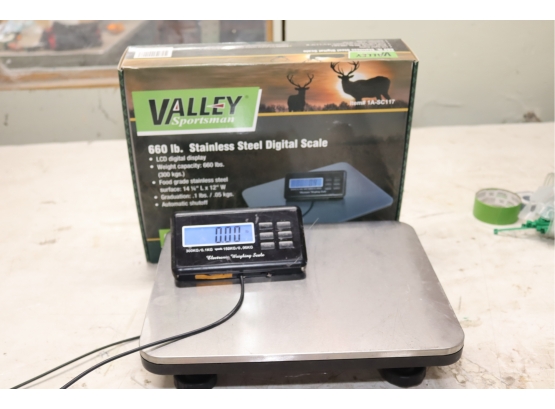 Valley 660lb Stainless Steel Digital Scale