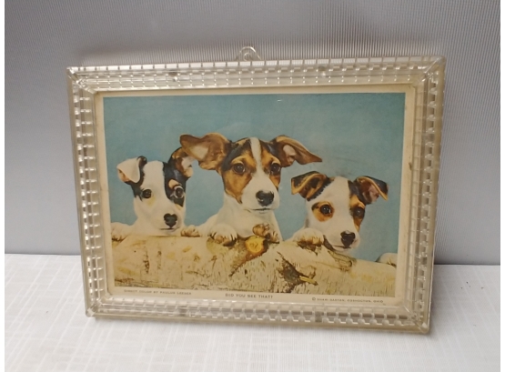 Vintage Plastic Framed Picture Of Dogs And Entitled 'did You See That'