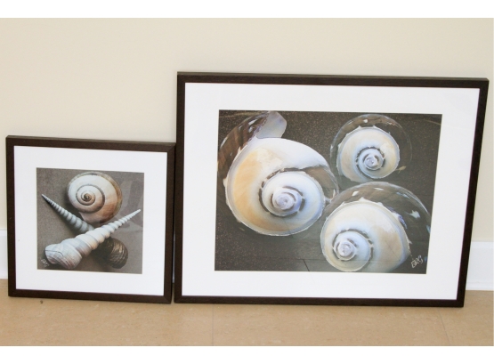 Pair Of Framed Wall Art - Shells