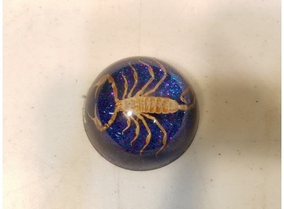 Vintage Scorpion Paperweight, Arizona Souvenir, Luminous Blue Background, 2.5' Diameter