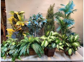Lot Of Decorative Silk Type House Plants Up To 48'h