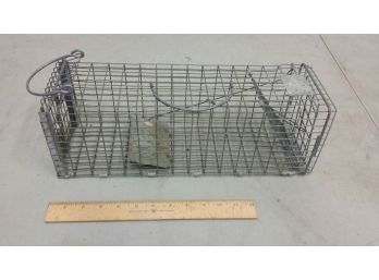 Small 'have A Heart' Live Animal Trap