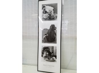 'Best Friends' By John Drysdale Framed Print, 12' X 36' Including Metal Frame