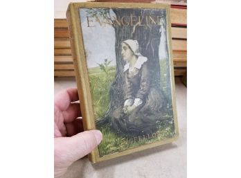 Evangeline, A Tale Of Acadie By Henry Wadsworth Longfellow, Illustrated By John Gilbert & Frank Dicksee