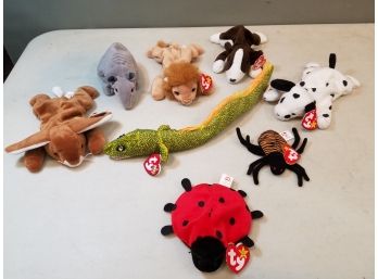 Lot Of 8 Ty Beanie Babies, Roary, Ears, Morrie, Tank, Dotty, Bruno, Spinner The Spider, Lucky