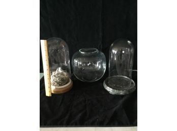 2 Cloche Bird Nest And Glass Vase