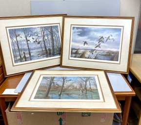 Three Large Waterfowl Prints Signed And Numbered David A. Maass