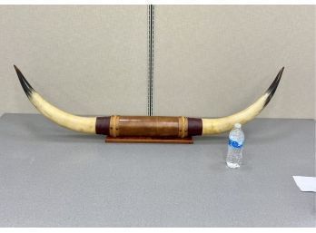 Very Large Wall Mounted Steer Bull Horn 56 Inches