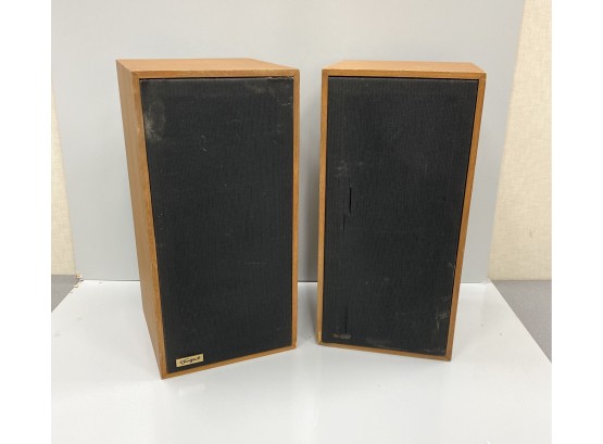 Rare Pair Vintage Tangent Acoustics Audio Speakers Made In England