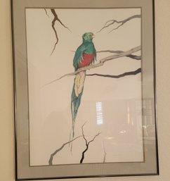 Bird Study By Denver Artist Robert Castillo '87 27x35 - Damage On Mat