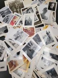 Instant Ancestors - Lot Of Antique And Vintage Photographs