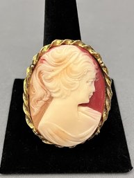 Pretty Vintage Cameo In Gold Tone Brooch Faux Shell - Vibrant Colors - Nice!