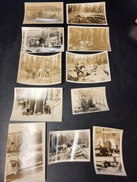 Vintage Photo Lot 10 Logging Photos 5' By 7'