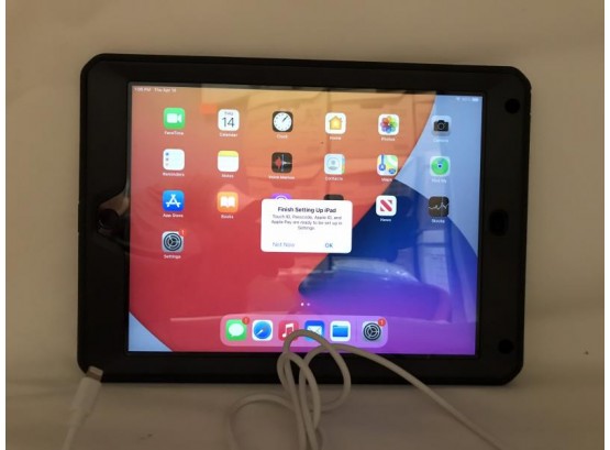 IPad Air 2 32GB M: MNV22LL/A, Unicorn Beetle, With Cord & Powers Up