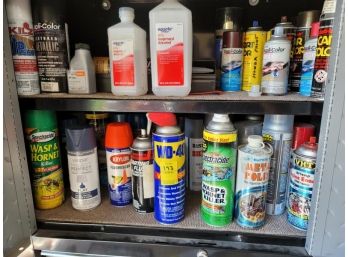 Lot Of Paints, WD-40, Wasp, Hornet Spray (buyer May Chose To Take Some Or All Of The Lot)