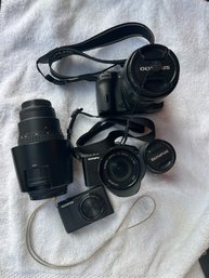 Olympus Camera Lot