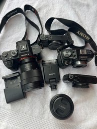 Sony Digital Camera Lot