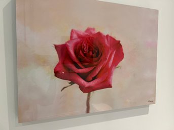 Photograph Of A Rose Printed On Aluminum, By Morris Herstein