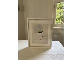 Framed Print Of Flower