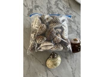 Bag Of Shells For Decor