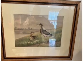 Chromolithograph Of Game Birds. POPE Jr., Alexander 4 Of 5