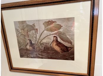 Chromolithograph Of Game Birds. POPE Jr., Alexander 2 Of 5