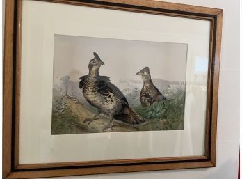 Chromolithograph Of Game Birds. POPE Jr., Alexander 1 Of 5