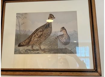 Chromolithograph Of Game Birds. POPE Jr., Alexander 3 Of 5