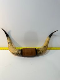 Vintage Wall Hung Horns