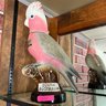 Vintage Jim Beam Decanter South Australia Pink Bird