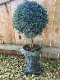 Cement Planting Pot With Faux Tree