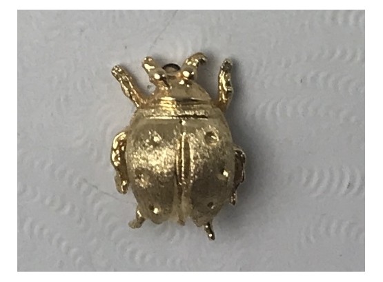 Tiny Gold Ladybug Pin