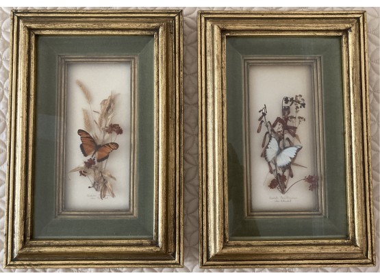 Pair Of Beautifully Framed Butterflies And Botanicals -HERBARIUM COLLECTIONS OF THE ROCKY MOUNTAIN WEST