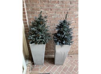 2 Outdoor Planters With Greenery