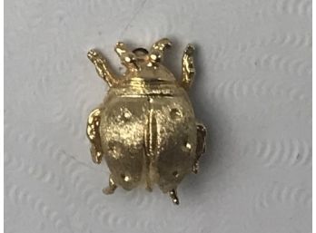 Tiny Gold Ladybug Pin