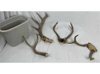 Plastic TotePlastic Tote With Assortment Of Antlers