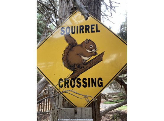 Cute Squirrel Crossing Sign